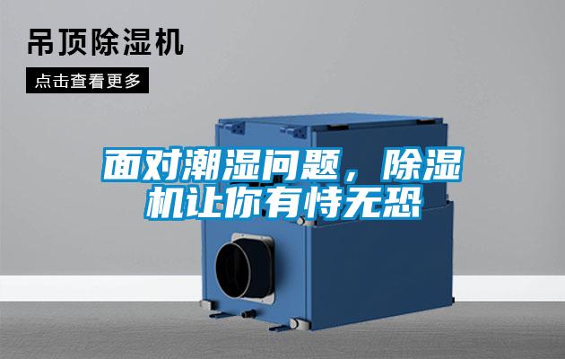 面对潮湿问题，粉色视频免费在线观看让你有恃无恐