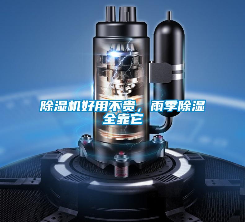 粉色视频免费在线观看好用不贵，雨季除湿全靠它