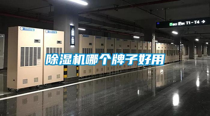 粉色视频免费在线观看哪个牌子好用