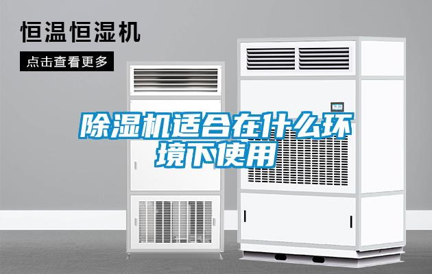 粉色视频免费在线观看适合在什么环境下使用