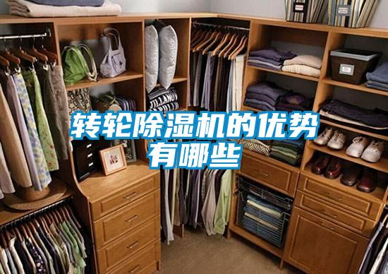 转轮粉色视频免费在线观看的优势有哪些