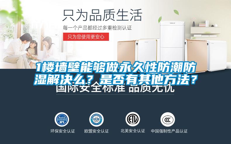 1楼墙壁能够做永久性防潮防湿解决么？是否有其他方法？