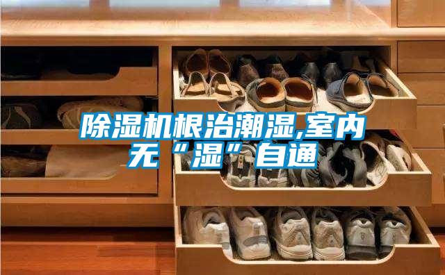 粉色视频免费在线观看根治潮湿,室内无“湿”自通