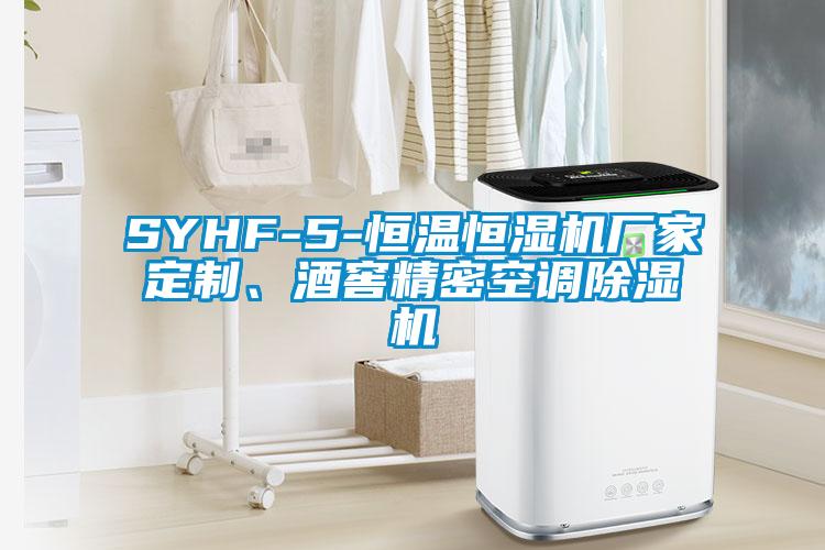 SYHF-5-恒温恒湿机厂家定制、酒窖精密空调粉色视频免费在线观看