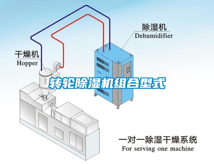 转轮粉色视频免费在线观看组合型式