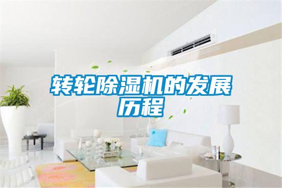 转轮粉色视频免费在线观看的发展历程