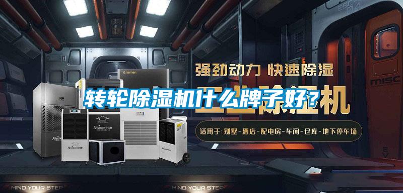 转轮粉色视频免费在线观看什么牌子好？