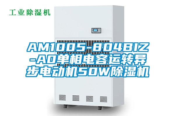 AM1005-804BIZ-A0单相电容运转异步电动机50W粉色视频免费在线观看
