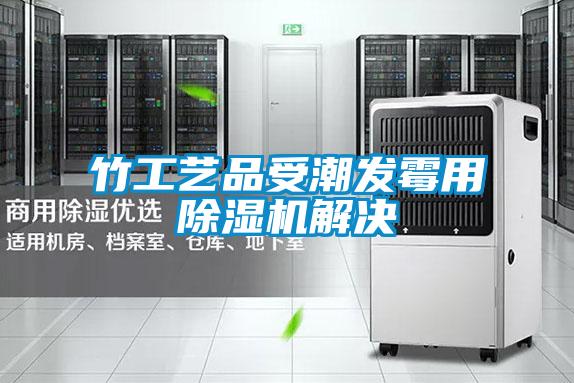 竹工艺品受潮发霉用粉色视频免费在线观看解决