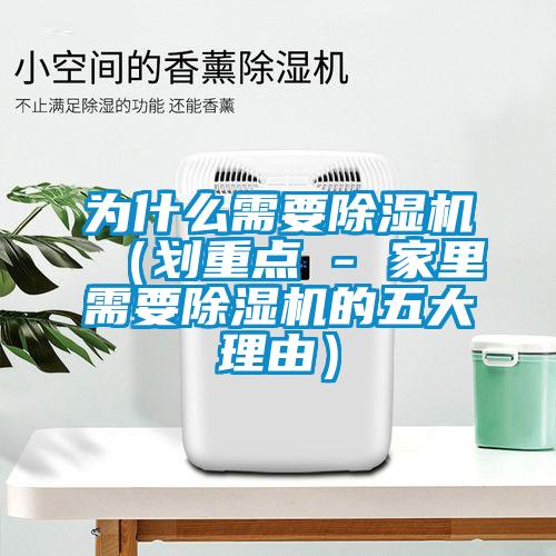 为什么需要粉色视频免费在线观看（划重点 - 家里需要粉色视频免费在线观看的五大理由）