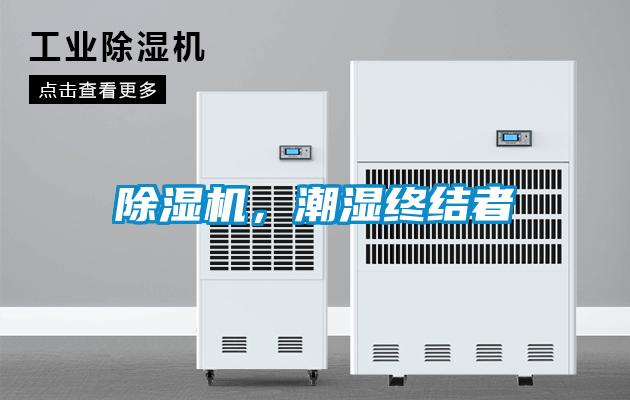 粉色视频免费在线观看，潮湿终结者