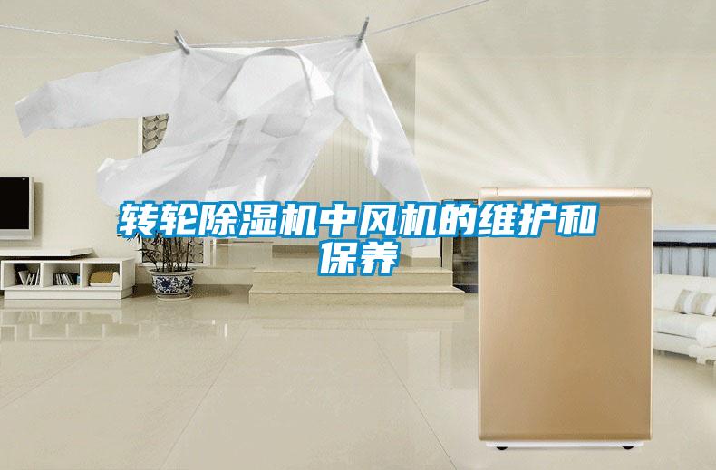 转轮粉色视频免费在线观看中风机的维护和保养