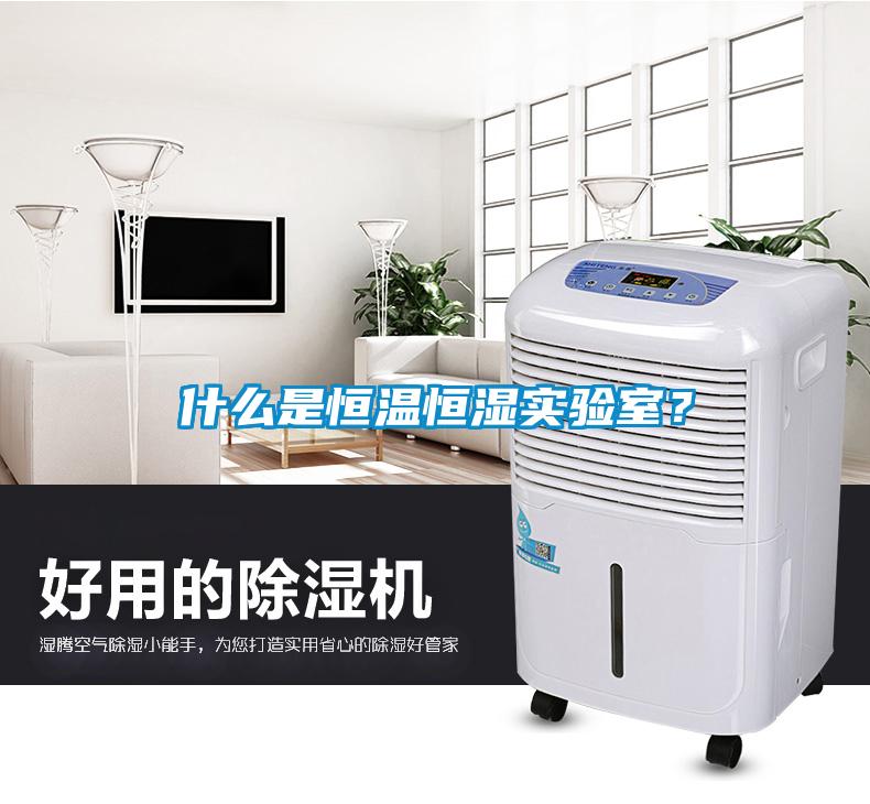 什么是恒温恒湿实验室？