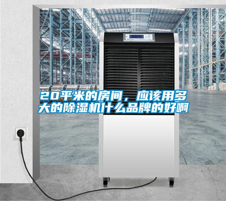 20平米的房间，应该用多大的粉色视频免费在线观看什么品牌的好啊
