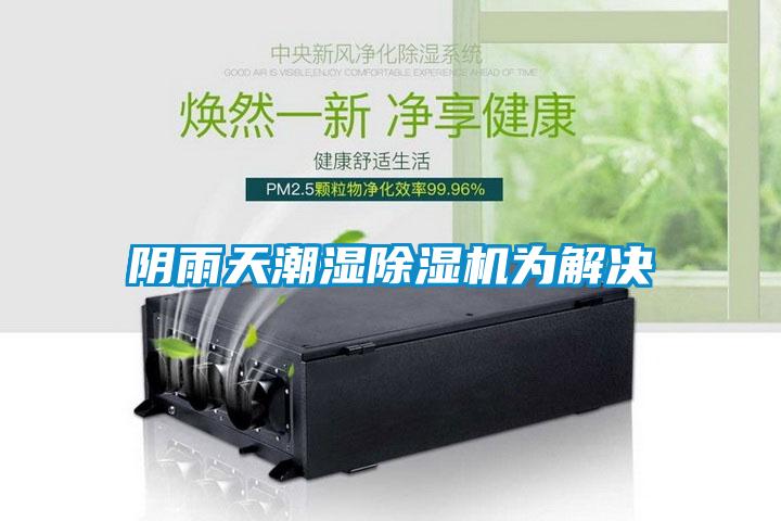 阴雨天潮湿粉色视频免费在线观看为解决