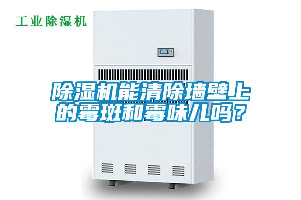 粉色视频免费在线观看能清除墙壁上的霉斑和霉味儿吗？