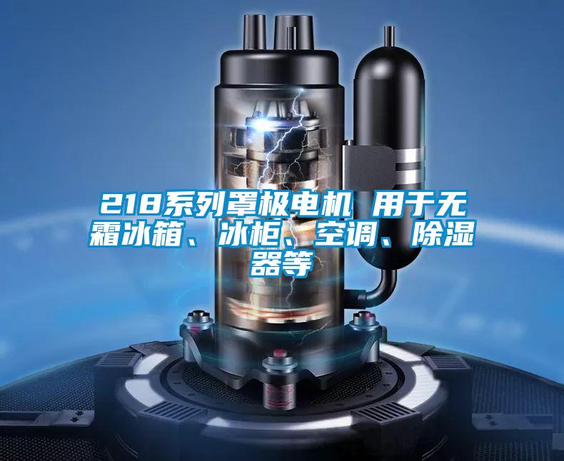 218系列罩极电机 用于无霜冰箱、冰柜、空调、除湿器等