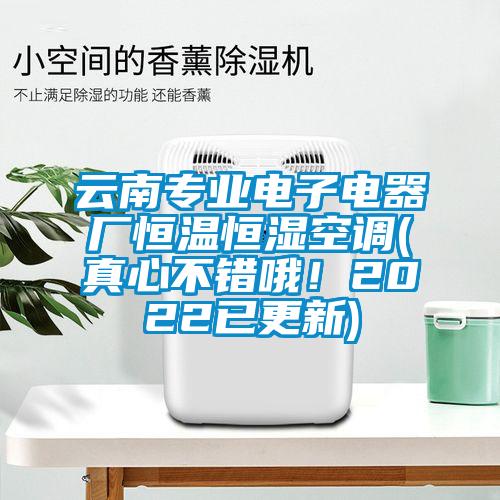 云南专业电子电器厂恒温恒湿空调(真心不错哦！2022已更新)