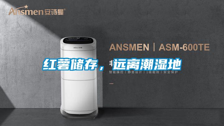 红薯储存，远离潮湿地