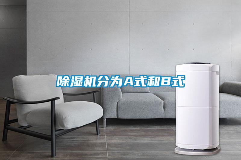 粉色视频免费在线观看分为A式和B式