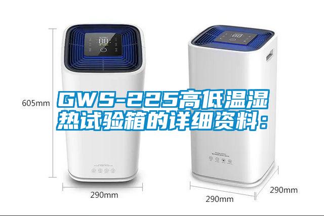 GWS-225高低温湿热试验箱的详细资料：