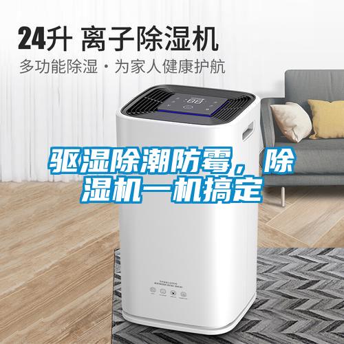 驱湿除潮防霉，粉色视频免费在线观看一机搞定