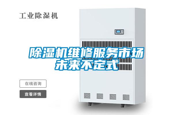 粉色视频免费在线观看维修服务市场未来不定式