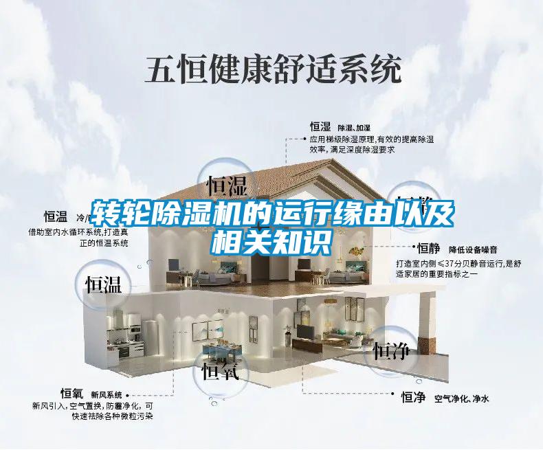 转轮粉色视频免费在线观看的运行缘由以及相关知识