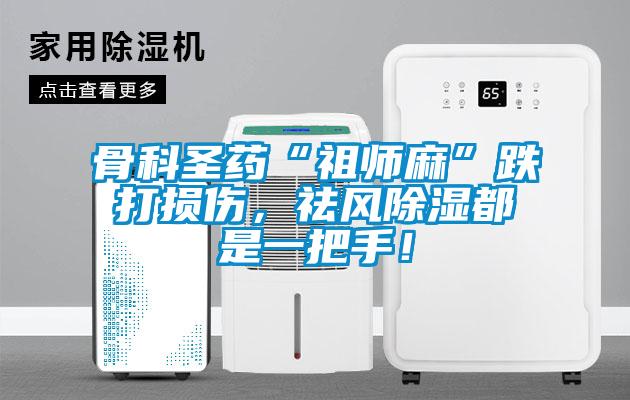 骨科圣药“祖师麻”跌打损伤，祛风除湿都是一把手！