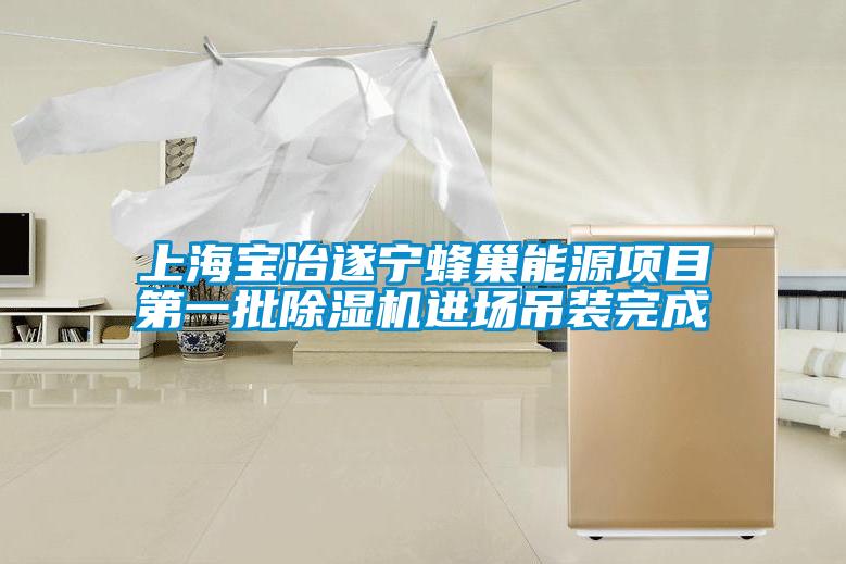 上海宝冶遂宁蜂巢能源项目第一批粉色视频免费在线观看进场吊装完成