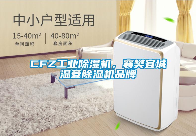 CFZ工业粉色视频免费在线观看，襄樊宜城湿菱粉色视频免费在线观看品牌