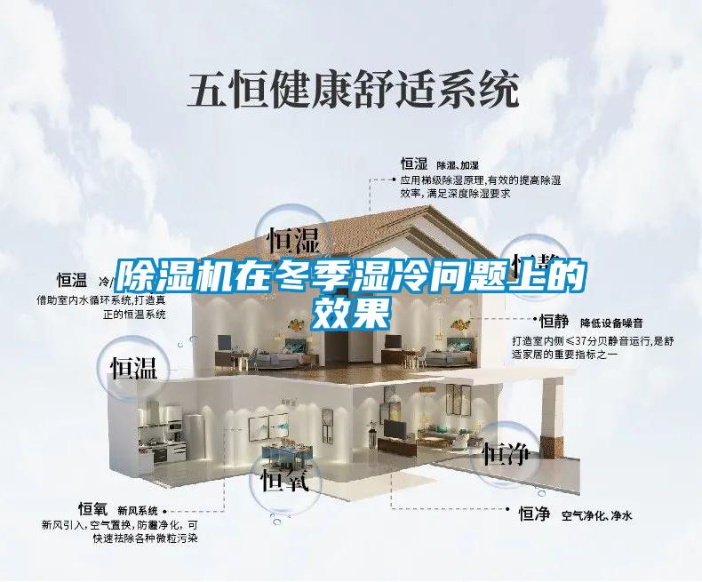 粉色视频免费在线观看在冬季湿冷问题上的效果