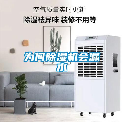 为何粉色视频免费在线观看会漏水