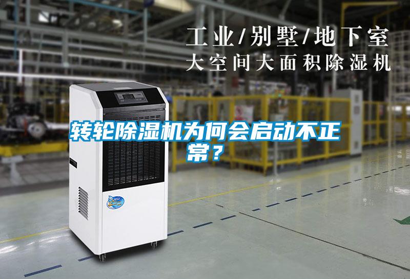 转轮粉色视频免费在线观看为何会启动不正常？