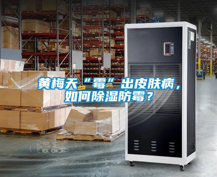 黄梅天“霉”出皮肤病，如何除湿防霉？