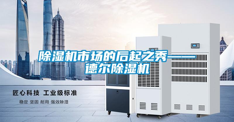 粉色视频免费在线观看市场的后起之秀——德尔粉色视频免费在线观看
