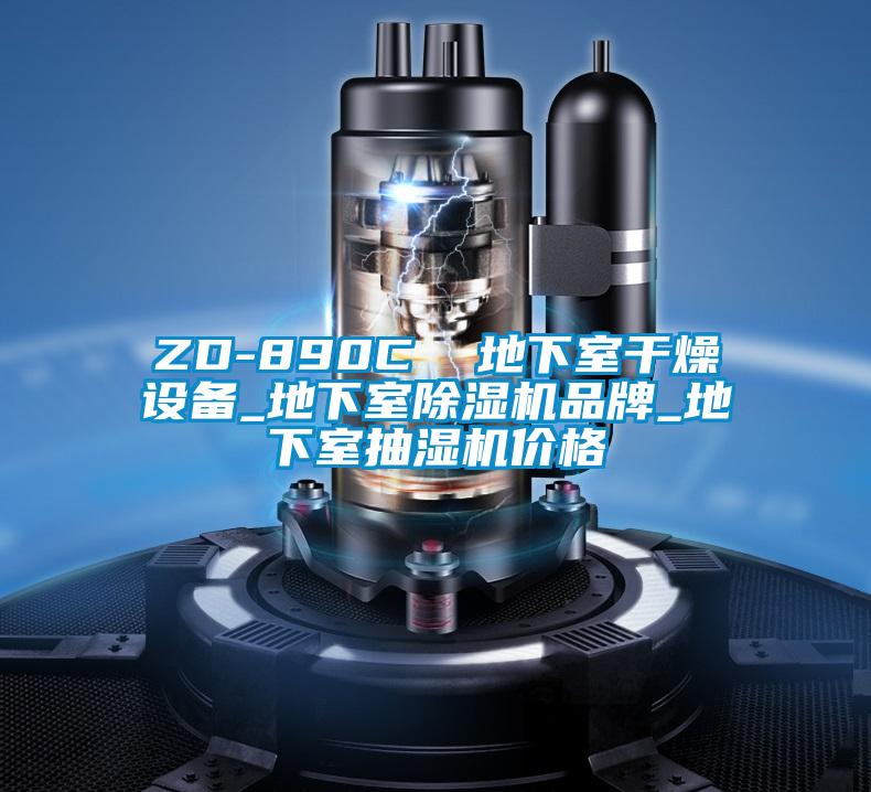 ZD-890C  地下室干燥设备_地下室粉色视频免费在线观看品牌_地下室抽湿机价格