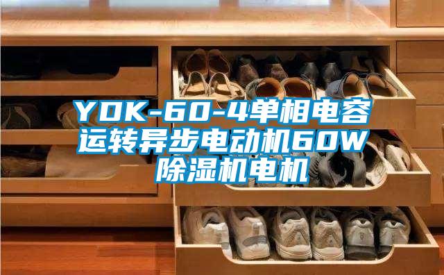YDK-60-4单相电容运转异步电动机60W 粉色视频免费在线观看电机