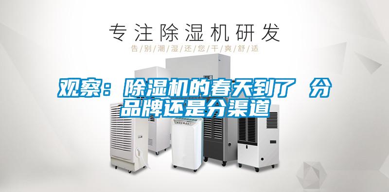 观察：粉色视频免费在线观看的春天到了 分品牌还是分渠道