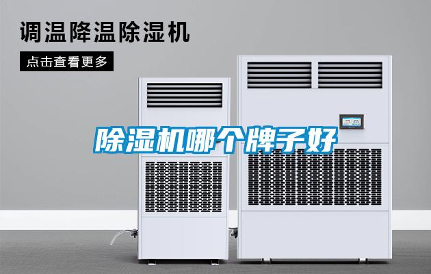 粉色视频免费在线观看哪个牌子好
