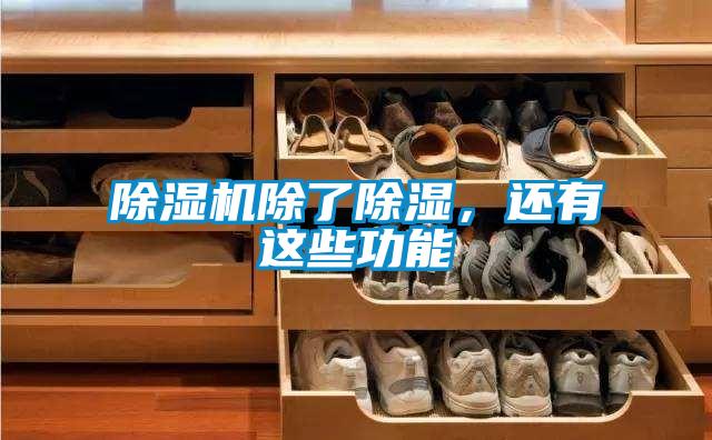 粉色视频免费在线观看除了除湿，还有这些功能