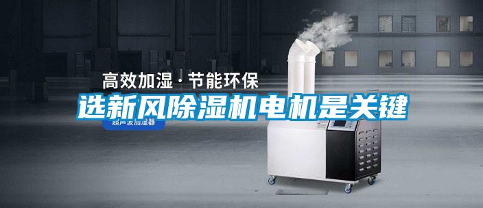 选新风粉色视频免费在线观看电机是关键