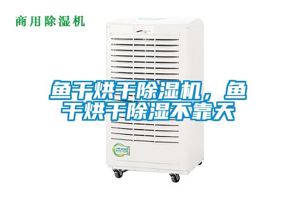 鱼干烘干粉色视频免费在线观看，鱼干烘干除湿不靠天