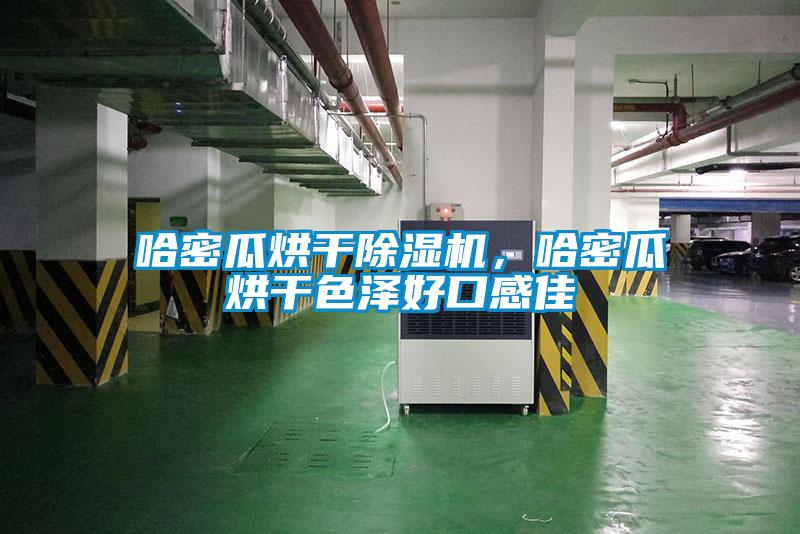 哈密瓜烘干粉色视频免费在线观看，哈密瓜烘干色泽好口感佳