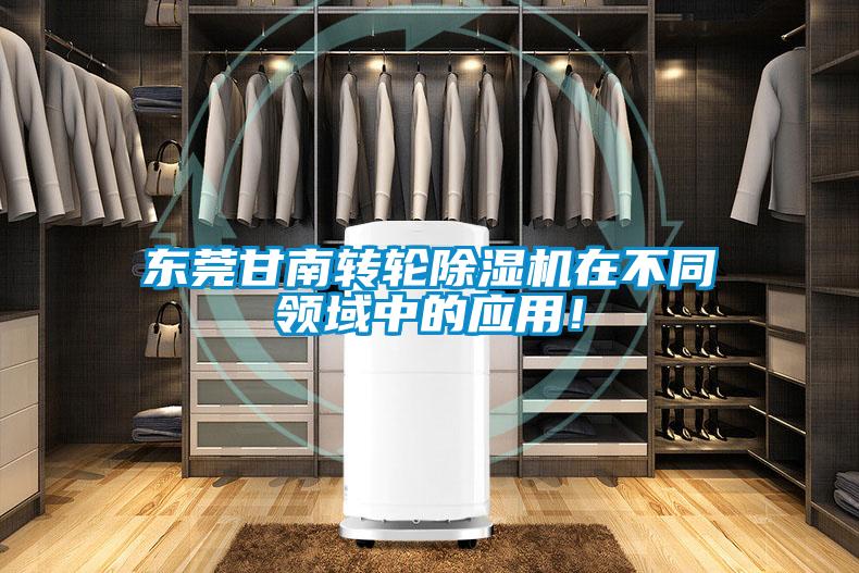 东莞甘南转轮粉色视频免费在线观看在不同领域中的应用！