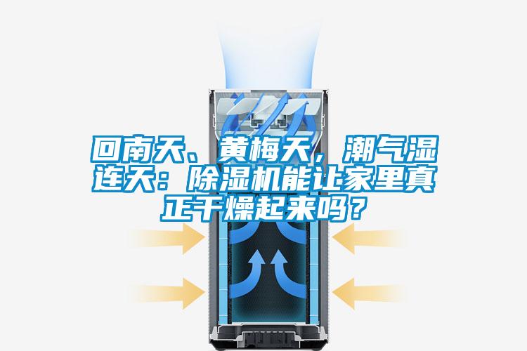 回南天、黄梅天，潮气湿连天：粉色视频免费在线观看能让家里真正干燥起来吗？