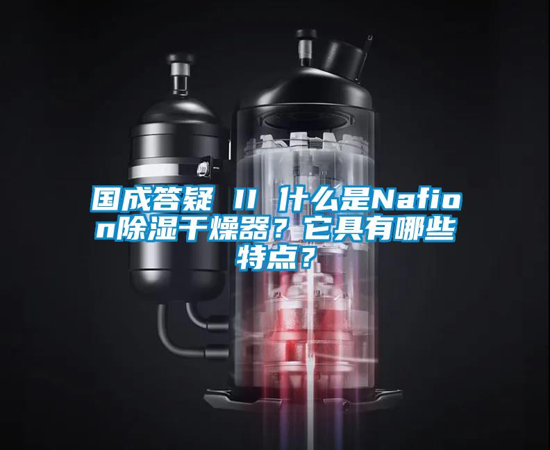 国成答疑 II 什么是Nafion除湿干燥器？它具有哪些特点？