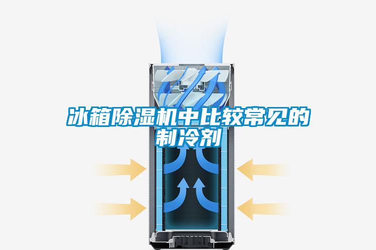 冰箱粉色视频免费在线观看中比较常见的制冷剂