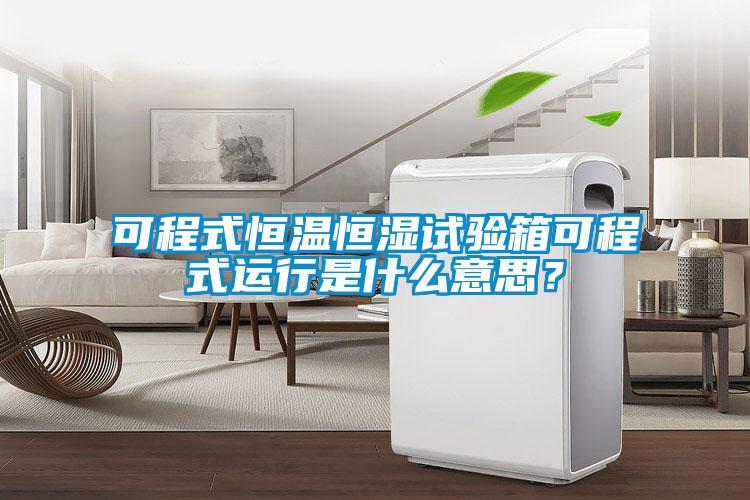 可程式恒温恒湿试验箱可程式运行是什么意思？