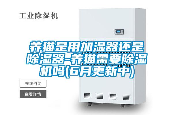 养猫是用加湿器还是除湿器-养猫需要粉色视频免费在线观看吗(6月更新中)